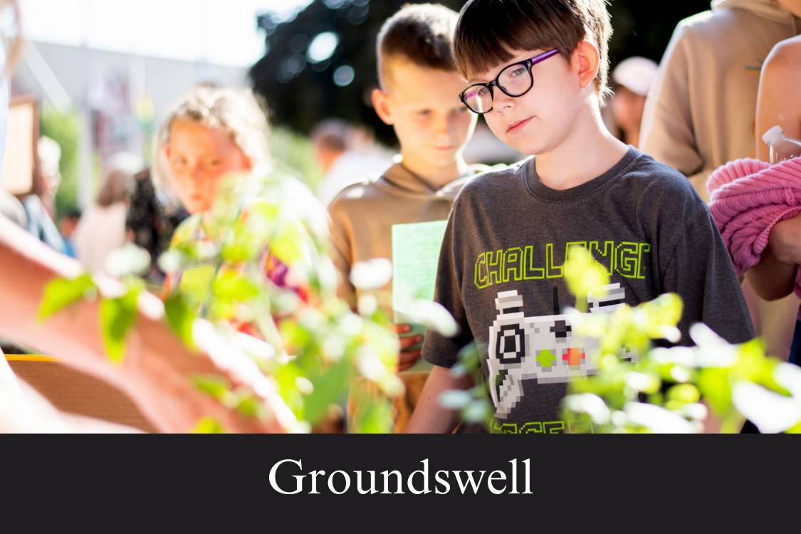 Groundswell